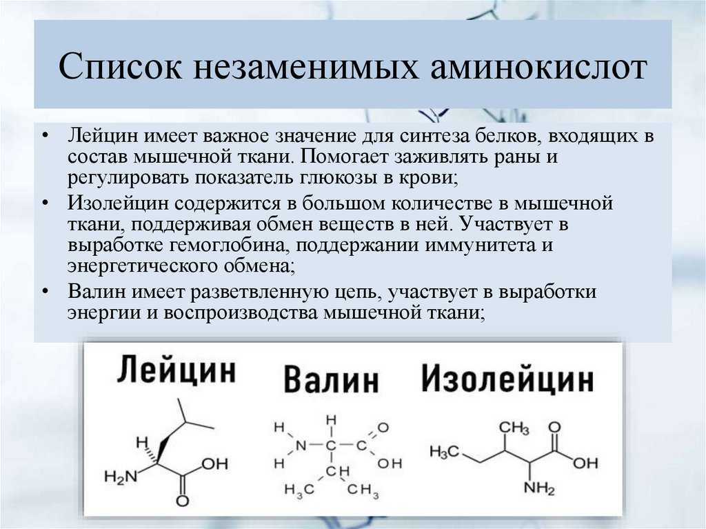 Имеют ли хлоропласты ферменты? 5 фактов, которые вы должны знать
