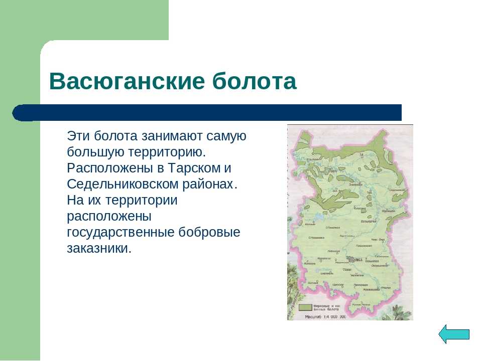 Одно из самых больших болот в мире - васюганское болото, экологические проблемы одного из ста природных чудес россии