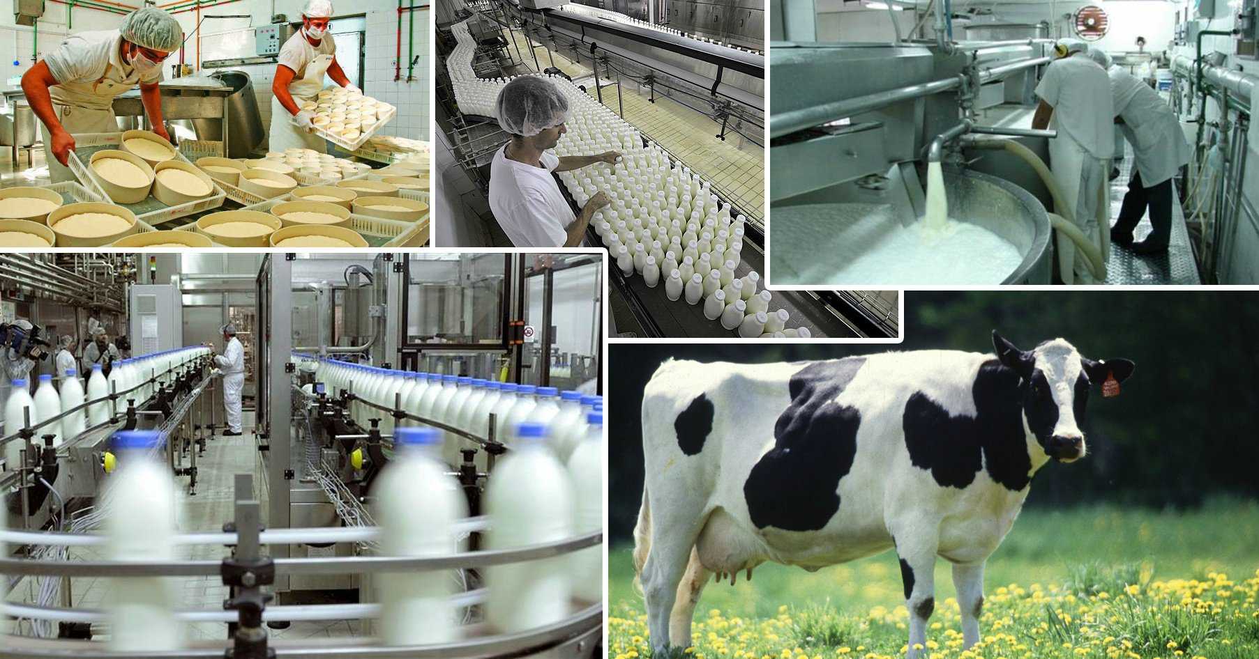 Технологии производства продукции животноводства