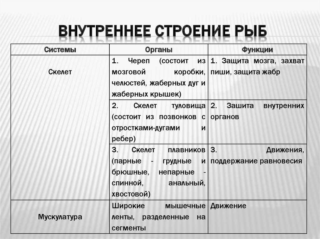 Использование рыбами электрических полей. электричество в жизни рыб