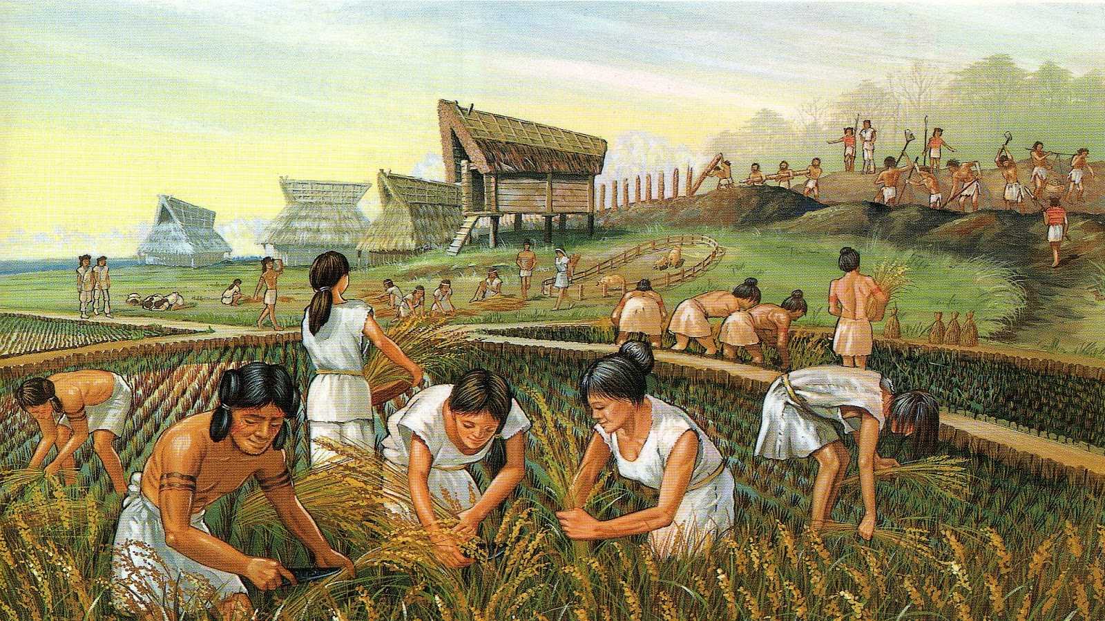 История возникновения и развития сельского хозяйства в мире
