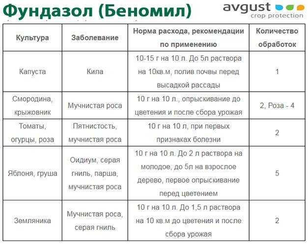 Фунгициды: их действие, классификация и правила применения