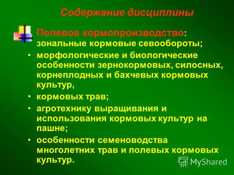 Кормопроизводство как отрасль сельского хозяйства и его значение для сельхозпредприятий. | cельхозпортал