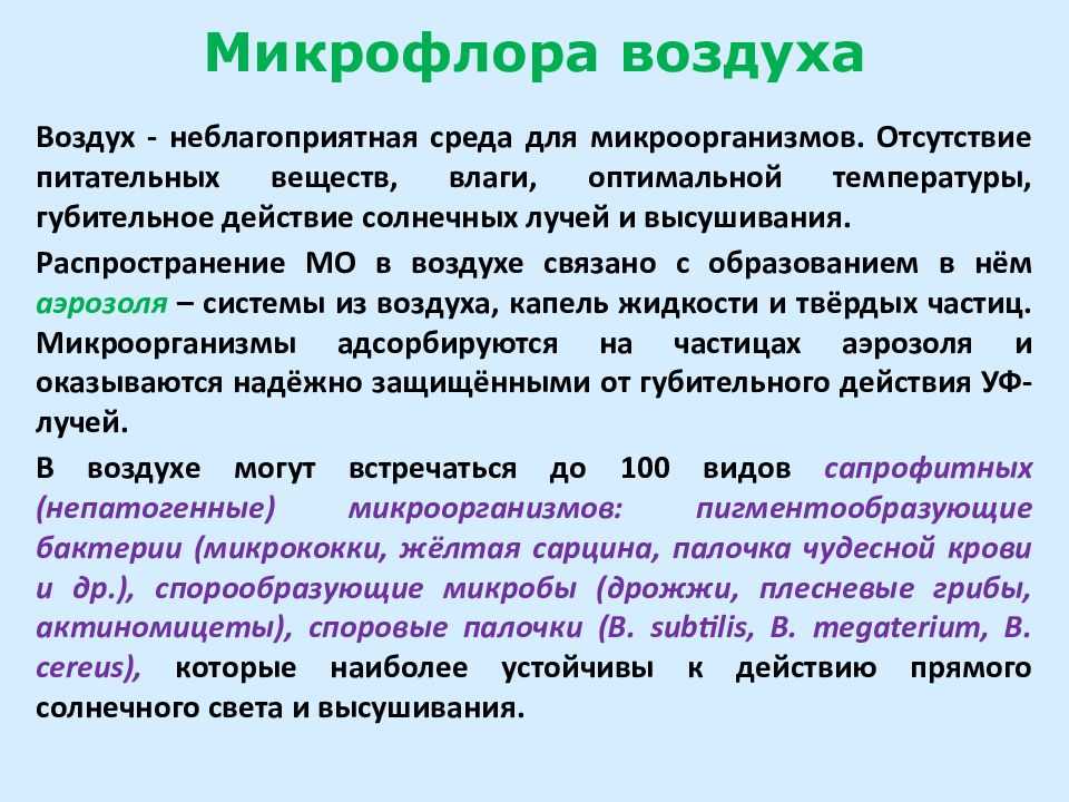 Распространение микробов в окружающей среде микробиология кратко