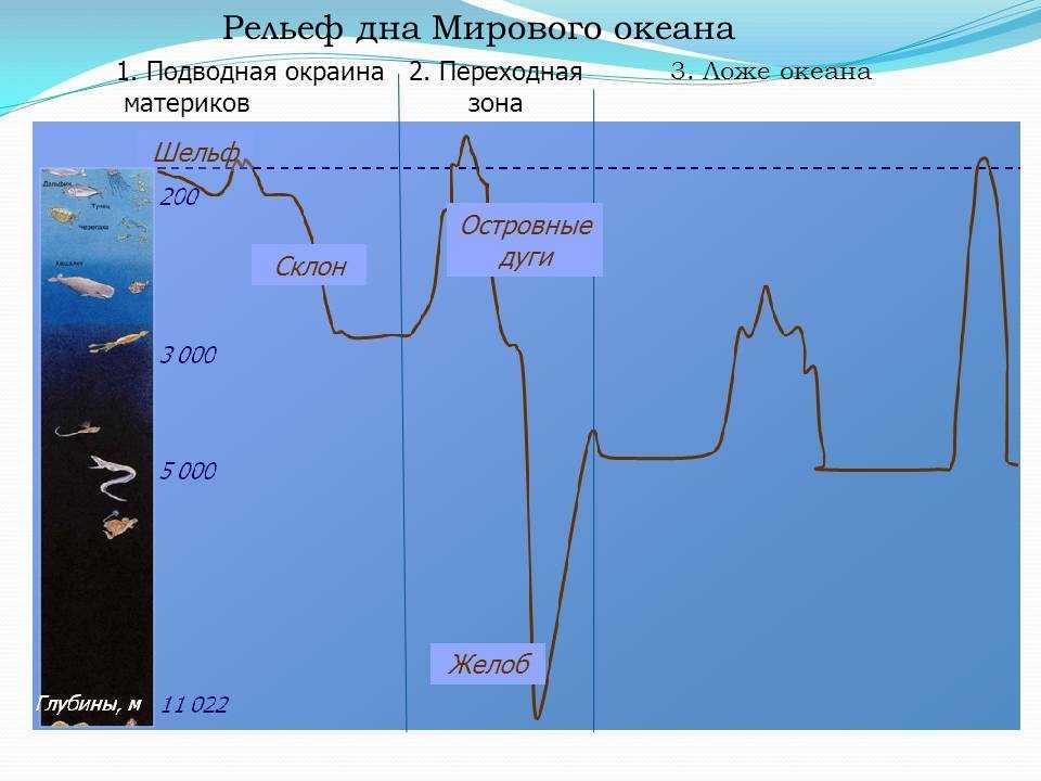 К гравитационным факторам относятся мутьевые потоки, оползни, крип.подводные оползни могут быть:· ст - ethnowork.ru