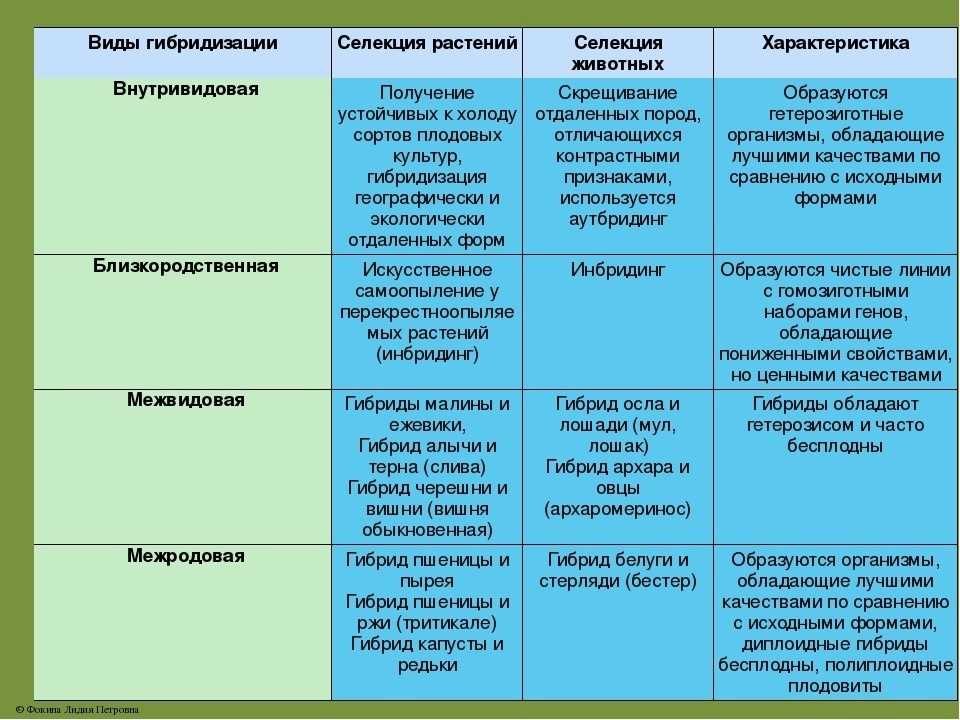 Какие бывают типы сортоиспытания? [1989 морозов е.и., тарасевич е.и., анохина в.с. - генетика в вопросах и ответах]
