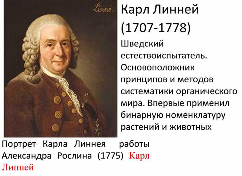 Какую птицу открыл карл линней 1758. значение работ линнея для развития естествознания