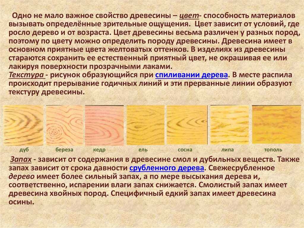 Иноземные породы. материаловедение для столяров, плотников и
паркетчиков. красное дерево. эвкалипт. бакаут