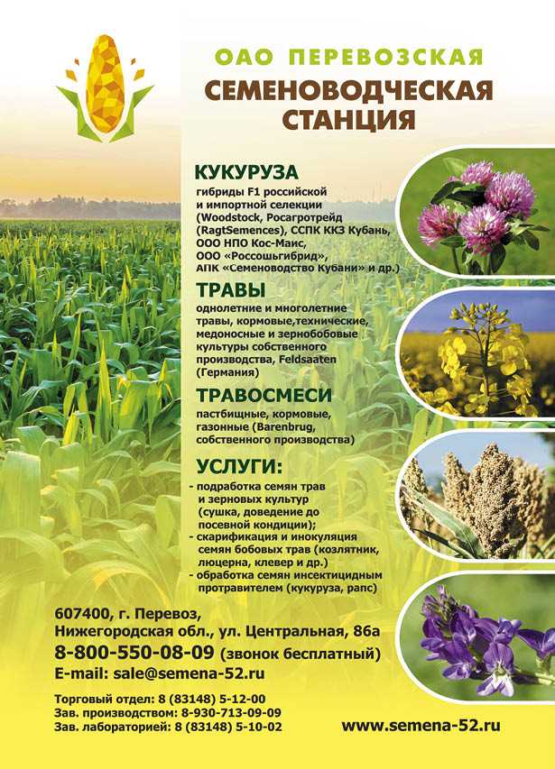Селекция ⭐️ растений: определение, виды, признаки, методы и этапы создания селекции