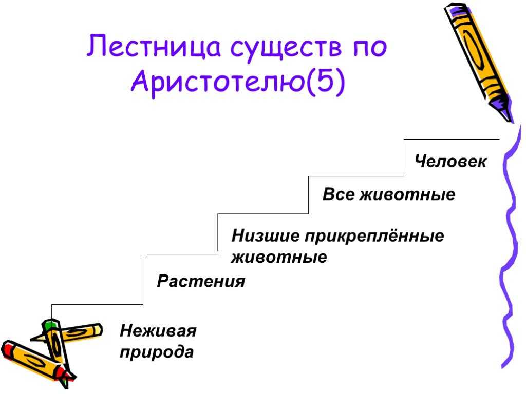 "лестница существ" бонне (bonnet) и ее метафизическая сущность