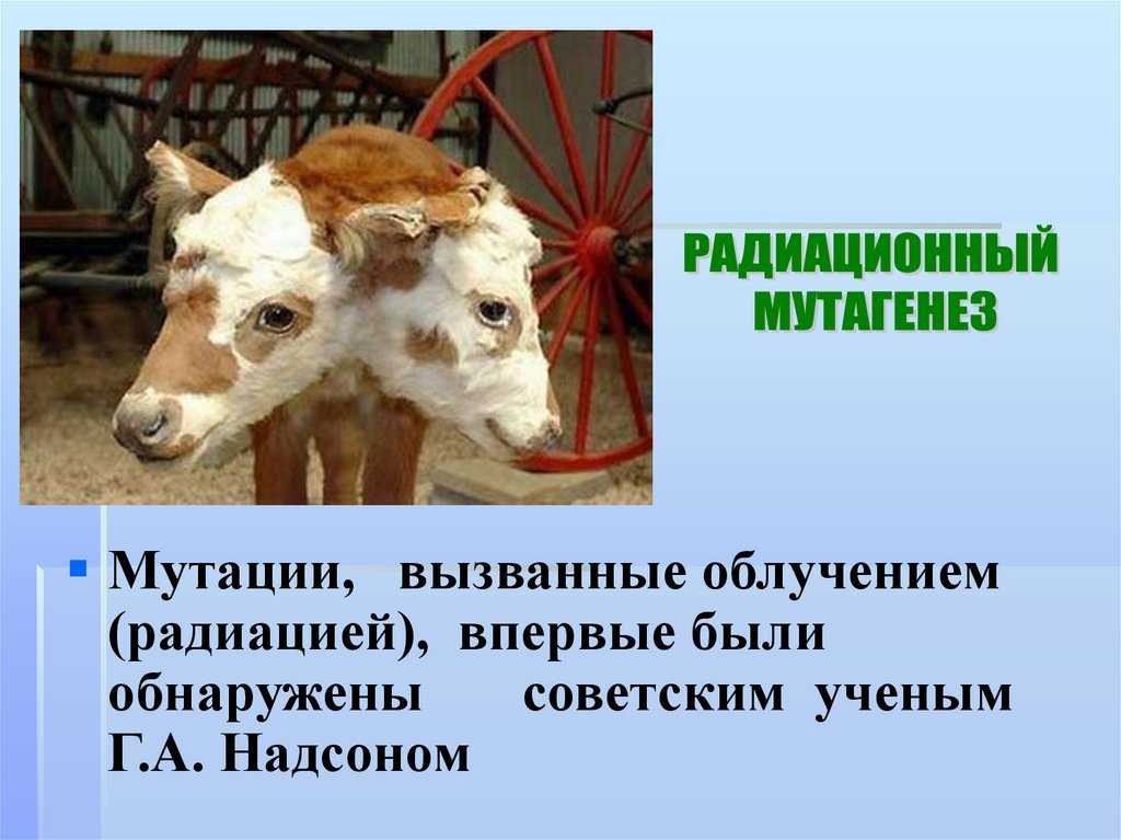 Физические мутагены - научная библиотека