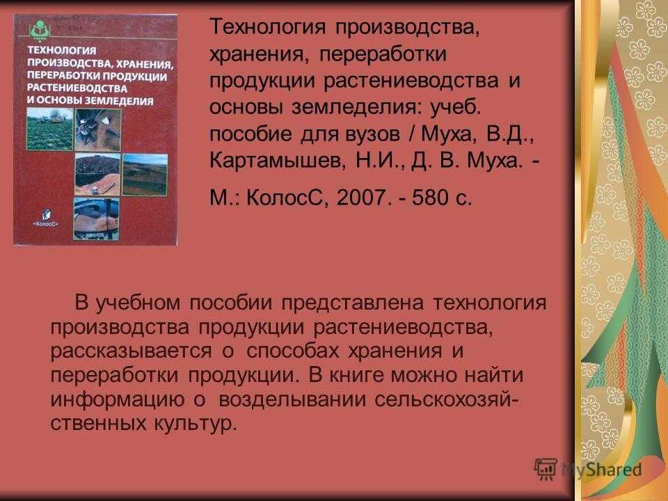 Физические свойства зерновой массы
