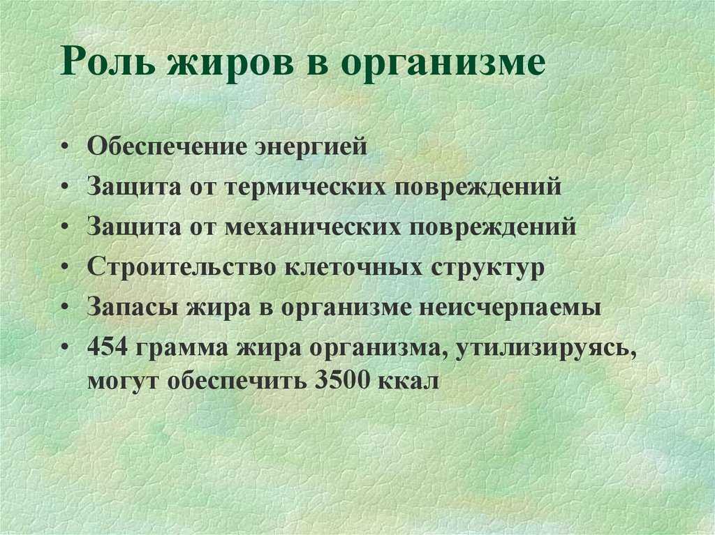 Жиры — свойства, получение и применение