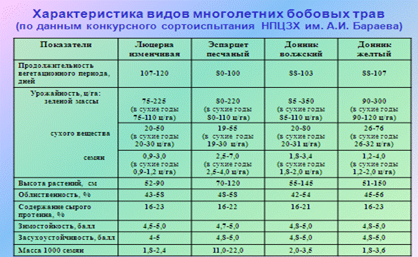 Посев люцерны вручную: правила и рекомендации