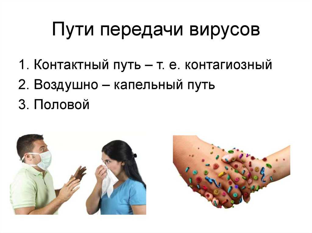 Как передаются инфекции: пути заражения и меры профилактики