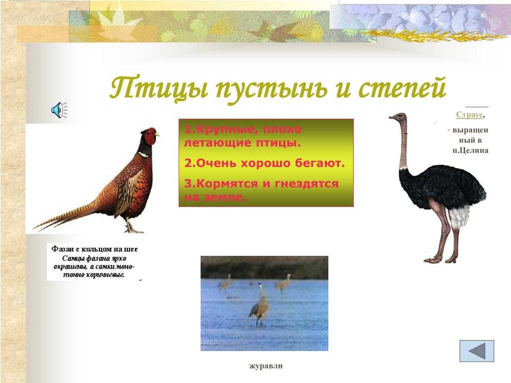 Формозов а.н. спутник следопыта. следы по черной тропе. следы животных сухих степей и пустынь - электронная биологическая библиотека