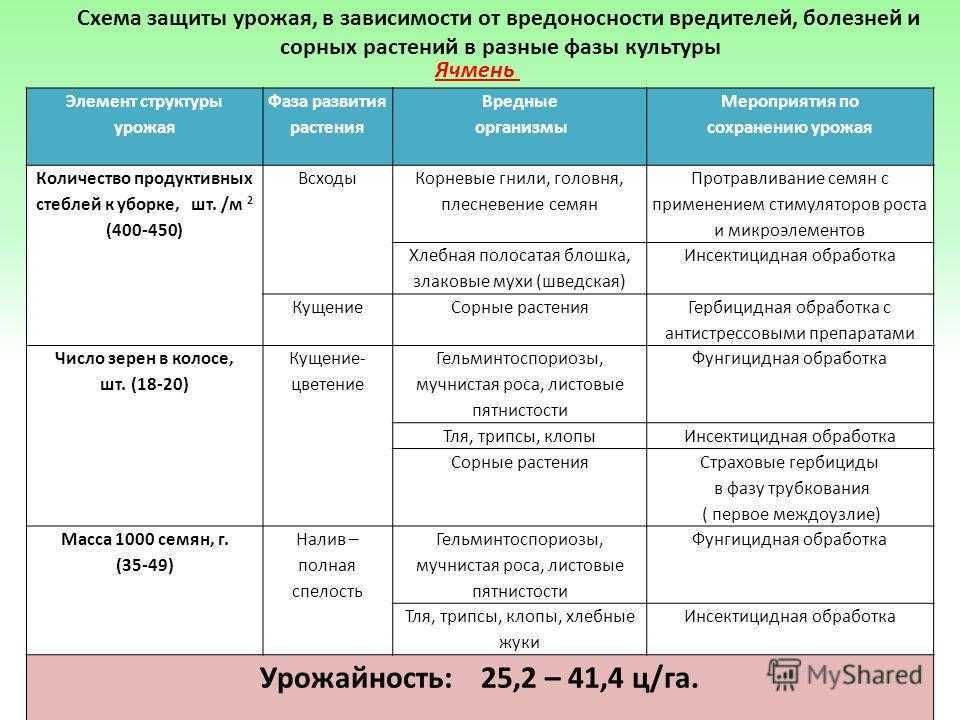 Какими бывают плодожорки — главные враги садовода . фото — ботаничка