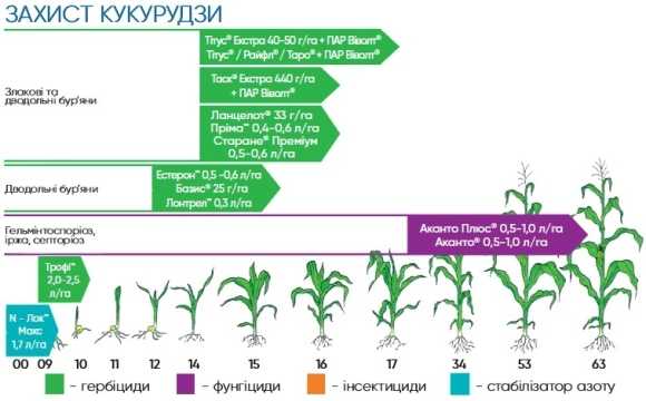 Основная обработка почвы после кукурузы: особенности системы