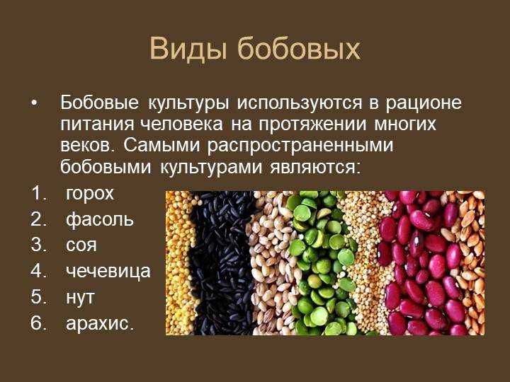 Зернобобовые культуры. ботанические характеристики бобов, сои и гороха. семена зернобобовых растений оптом – «русское поле»