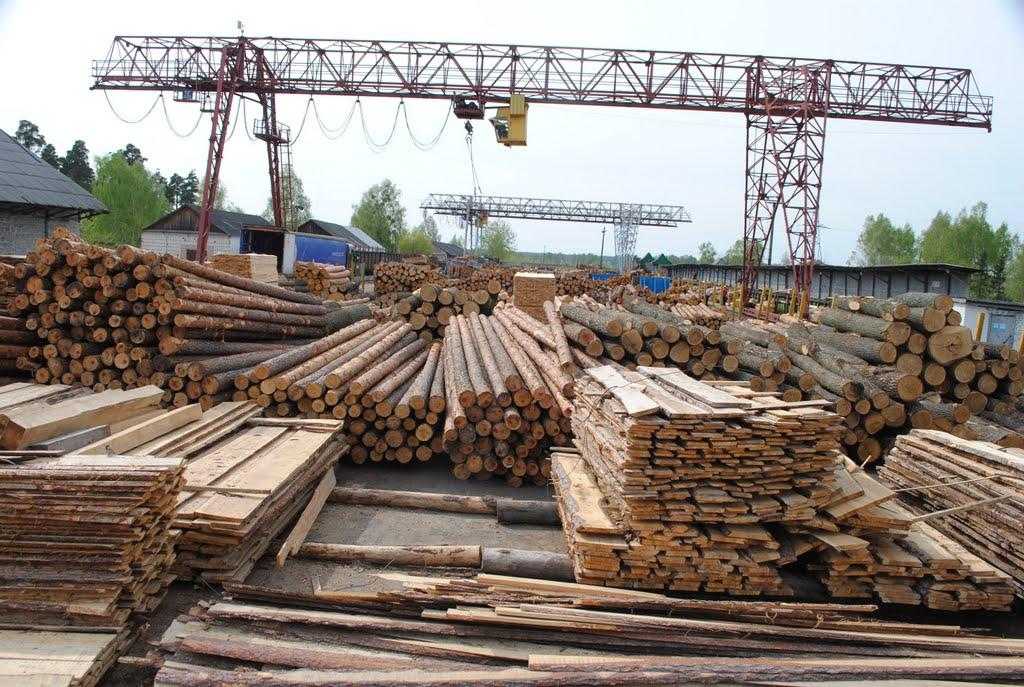 Какой метод лесозаготовки лучше
