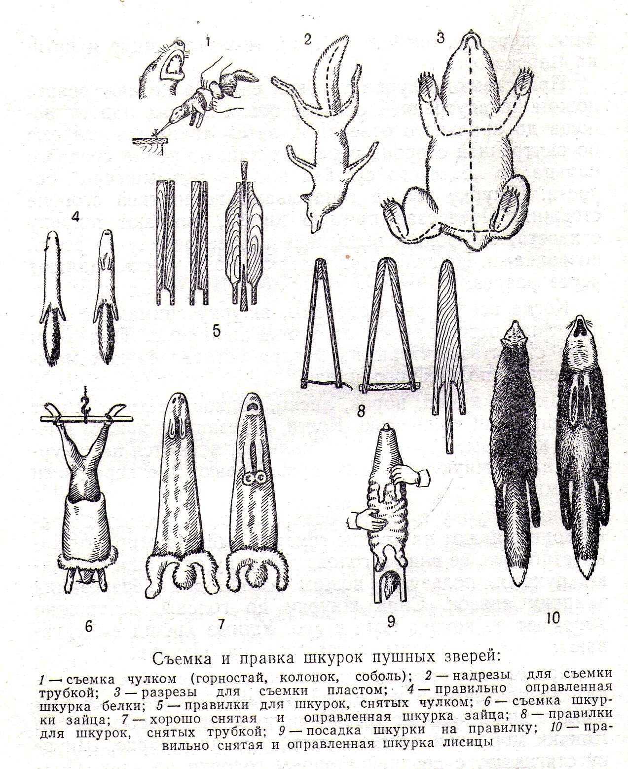 Съемка шкур животных при убое