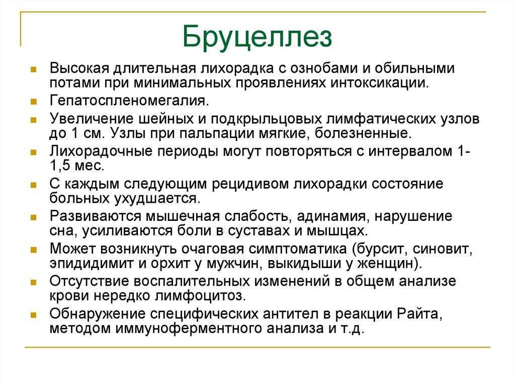 Бруцеллы | признаки, лечение и диагностика вгкб № 2