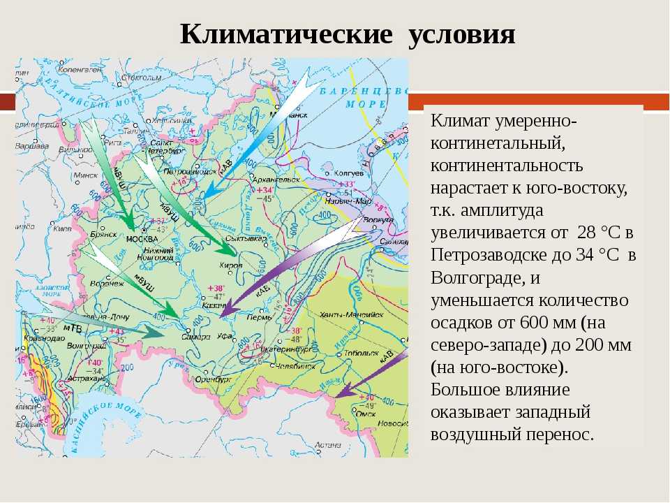 Климат степей русской равнины
