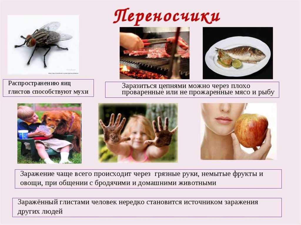 Болезни, вызываемые ракообразными (крустацеозы)