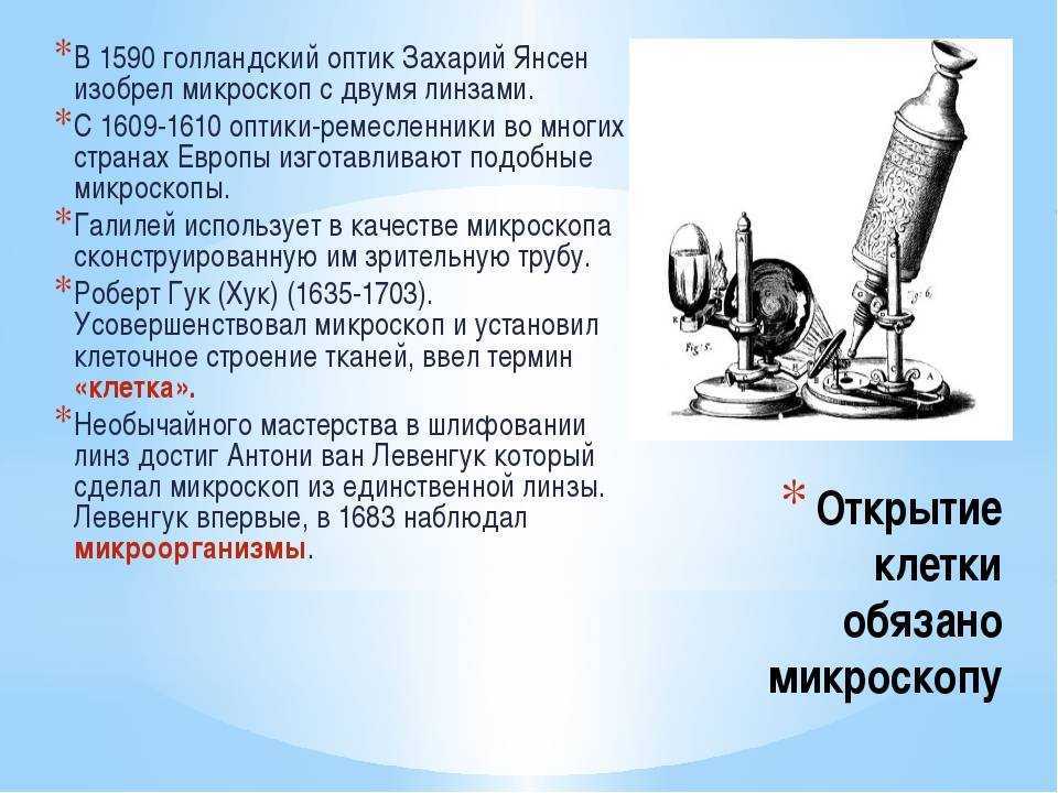 Строение и виды микроскопов