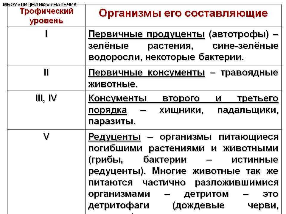 Питательные вещества, круговорот