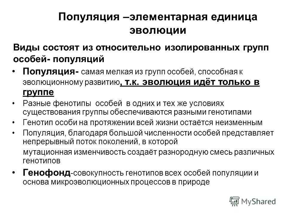 Экология