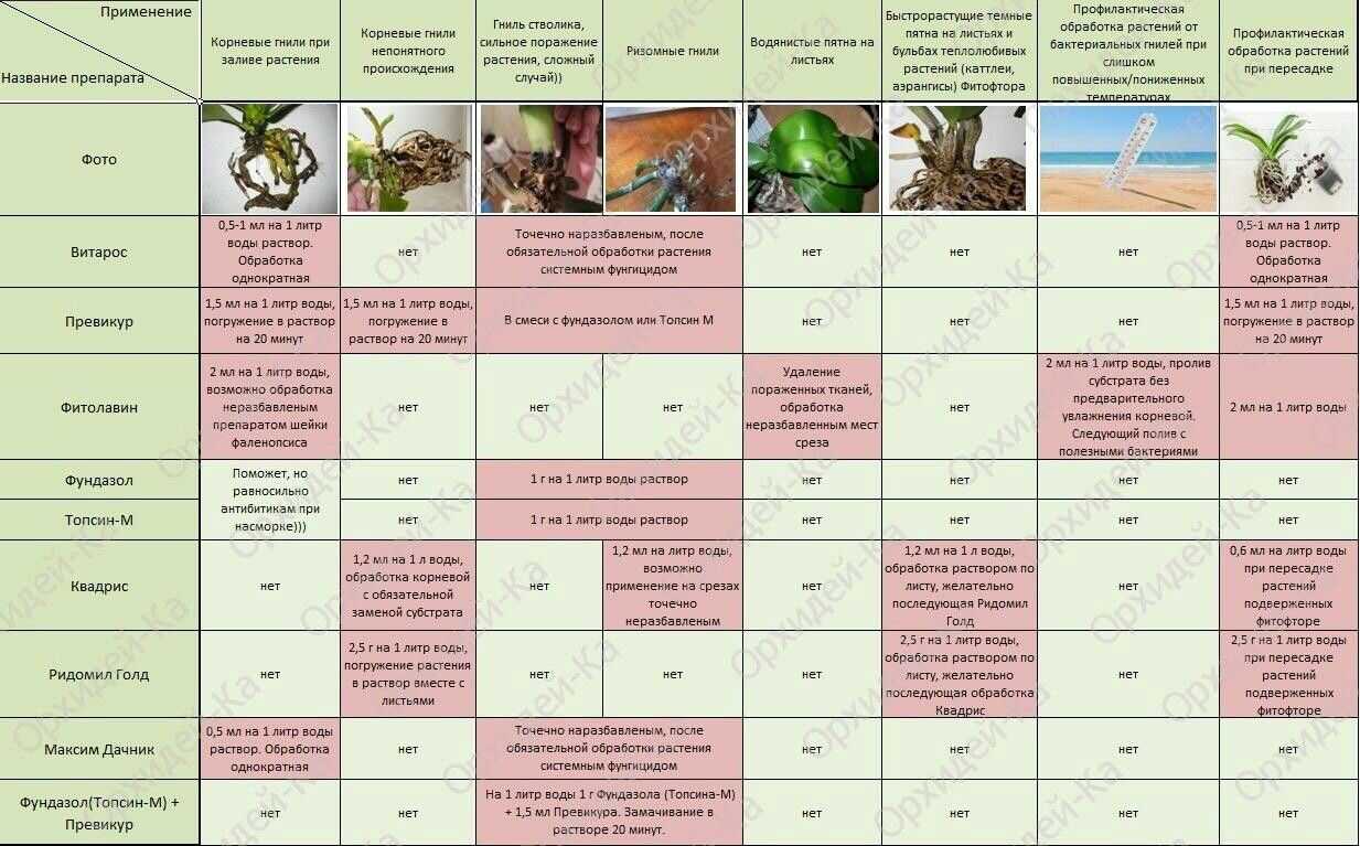 Хранение корнеплодов овощей: условия, сроки, требования