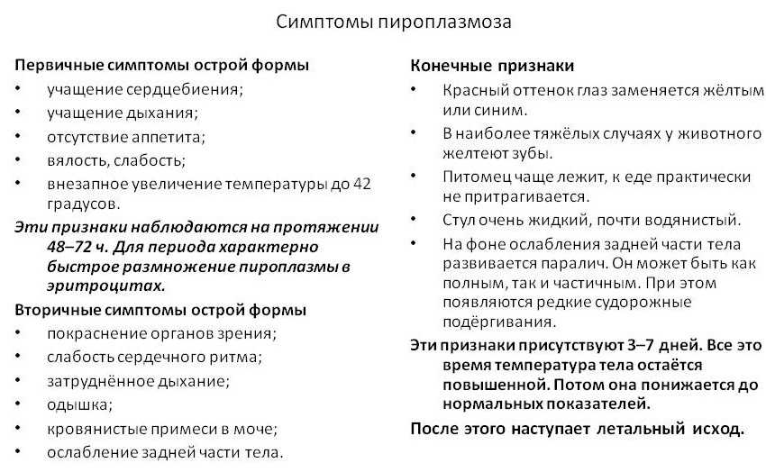 Бабезиоз, лечение, причины, симптомы,  профилактика.