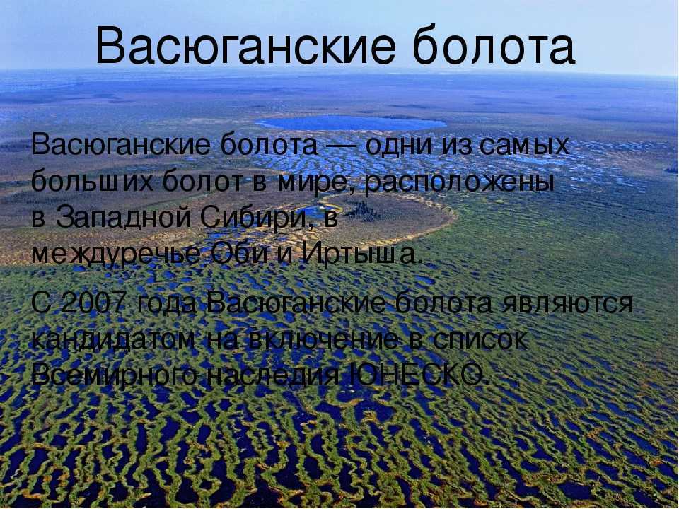 Болота западной сибири. основные типы