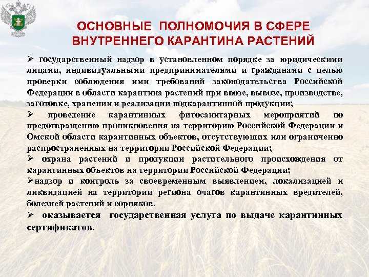 Совершенствование карантинных мероприятий по предотвращению проникновения средиземноморской плодовой мухи на территории российской федерации  быковский алексей владимирович