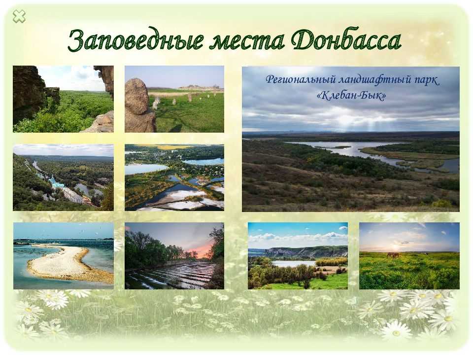 Презентация на тему заповедные места донбасса
