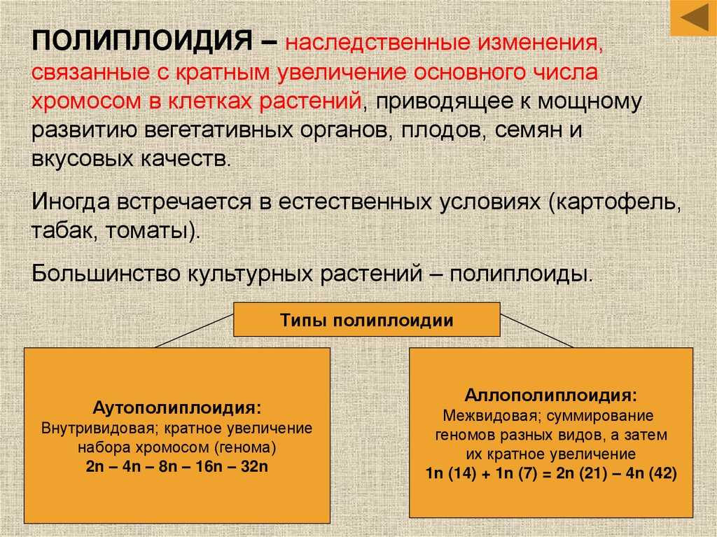 Полиплоидия - возникновение и ее роль в образовании видов > лаборатория фитоинвазий