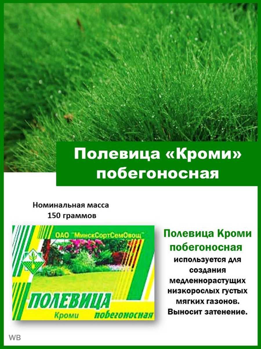 Полевица гигантская - agrostis gigantea - описание таксона - плантариум