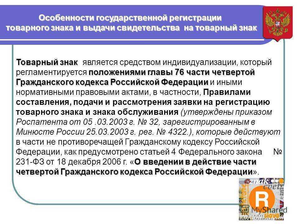 Особенности лесоводственного ухода - аналитика лесной промышленности