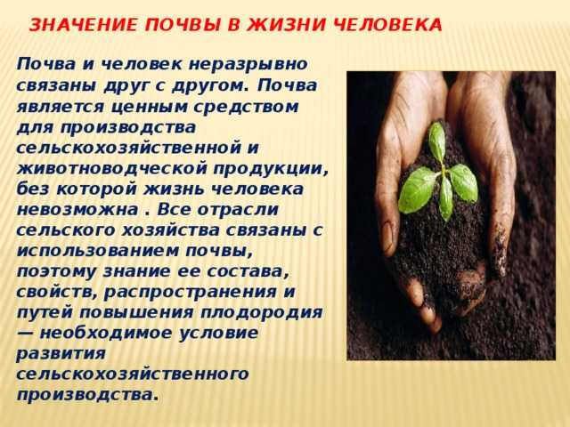 Человек и почвы 8 класс онлайн-подготовка на ростелеком лицей | тренажеры и разбор заданий