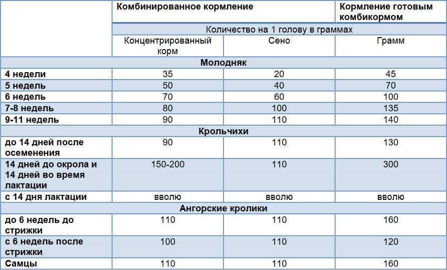 Прочитайте онлайн кролики: разведение, выращивание, кормление | особенности кормления кролей в разные возрастные и физиологические периоды