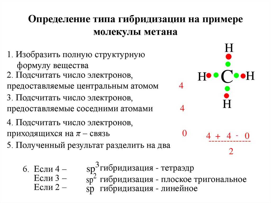 Секвенирование нуклеиновых кислот: методы, сравнение, подготовка проб и многое другое