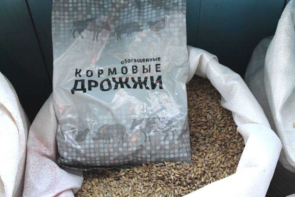 Силосование стеблей и листьев кукурузы (с. я. зафрен, кандидат сельскохозяйственных наук) [1955 бурлакова н.м. - кукуруза в новых районах]
