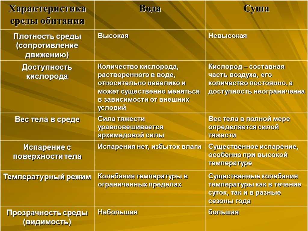 Организм как среда обитания: понятие и значение