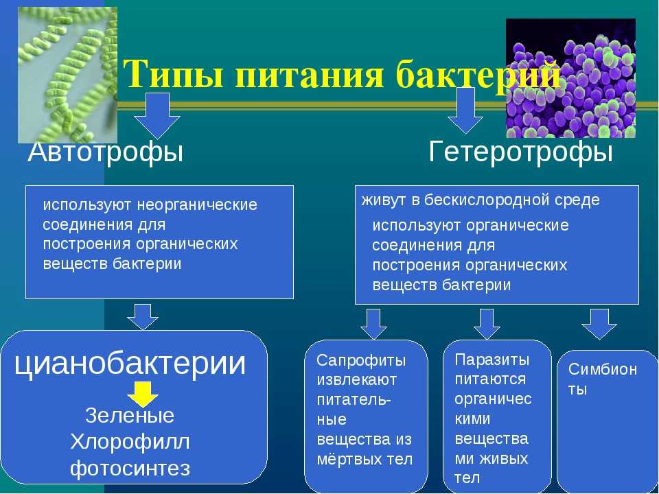 Параграф 20 - естествознание. 10 класс. габриелян о. с.