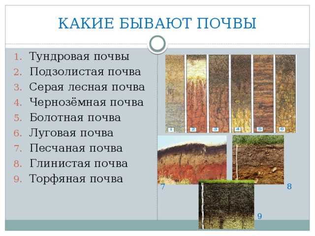 Тепловые свойства и тепловой режим почв: что это такое?