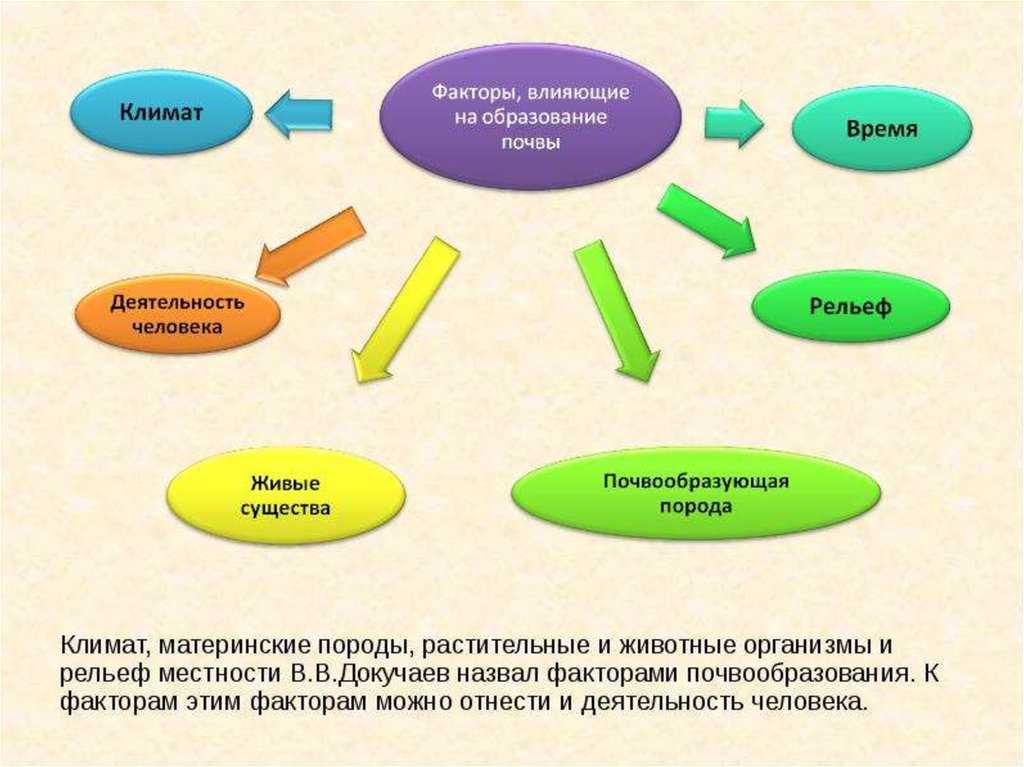 Климат как фактор почвообразования