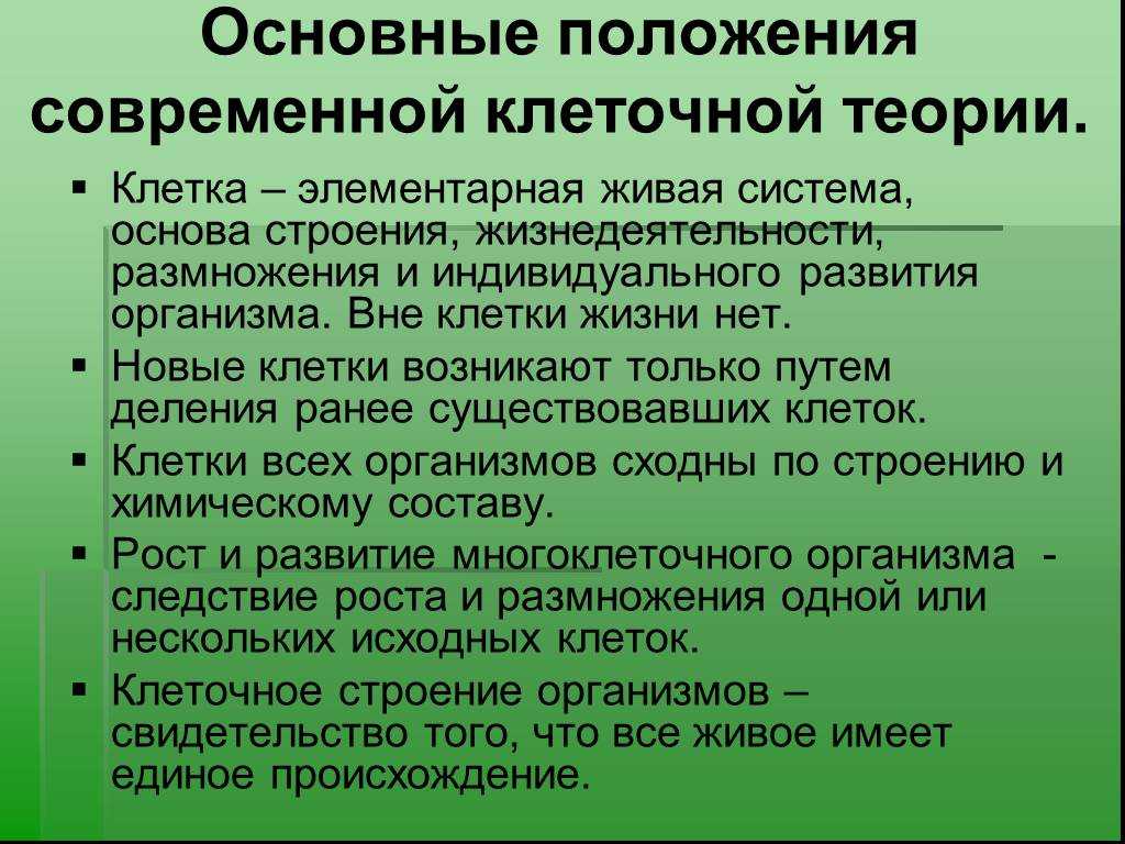 Современное развитие клеточной теории. Положения современной клеточной теории. Основные положения клеточной теории. 4.Основные положения современной клеточной теории.. Основнве положения кдеточной ткооии.