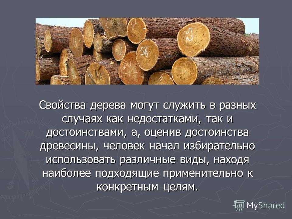 Является ли дерево проводником электричества. электрические свойства древесины. диэлектрические свойства древесины