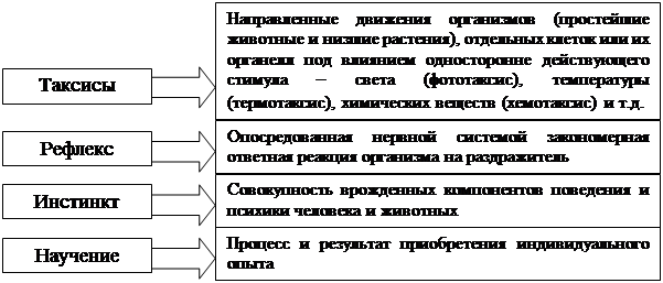 Наличие инстинктов и рефлексов есть у человека. рефлексы и инстинкты, кинезы и таксисы. рефлексы и инстинкты